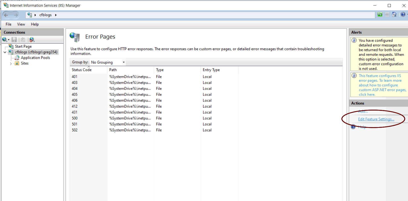 Enabling detailed errors with coldfusion and iis